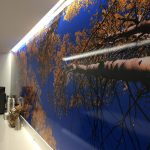 professionally installed wall mural